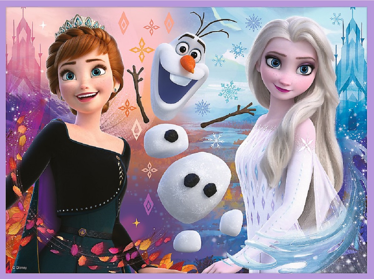 Puzzle 2 in 1 + Memo. Disney Frozen. Printesele si taramul lor