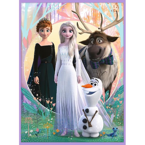 Puzzle 2 in 1 + Memo. Disney Frozen. Printesele si taramul lor