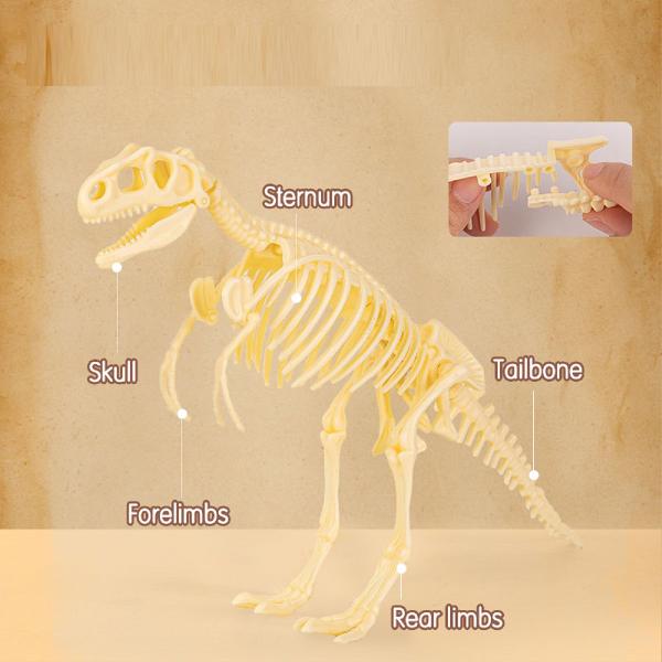 Set creativ: Fossile Detective. Tyrannosaurus