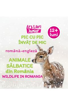 Poza produsului Pic cu pic invat de mic: Animale salbatice din Romania. Editie bilingva