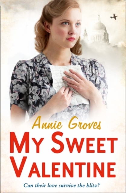 My Sweet Valentine - Annie Groves