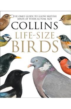 Coperta cărții 'Collins Life-Size Birds - Paul|read Sterry'