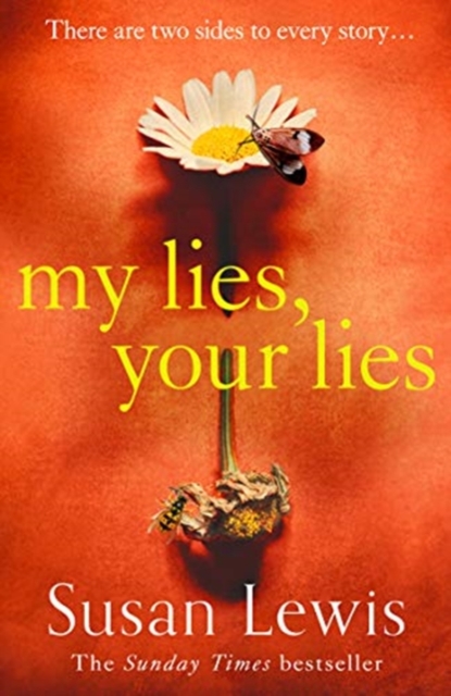 My Lies, Your Lies - Susan Lewis