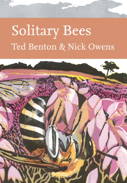 Solitary Bees - Ted|owens Benton