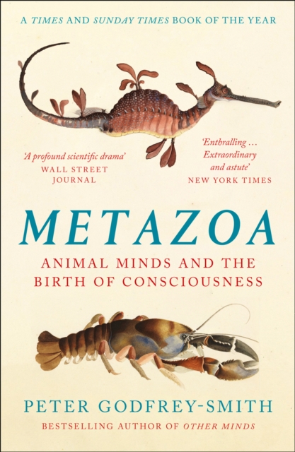 Metazoa - Peter Godfrey-smith