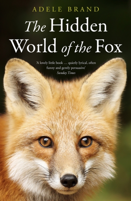 Hidden World of the Fox - Adele Brand