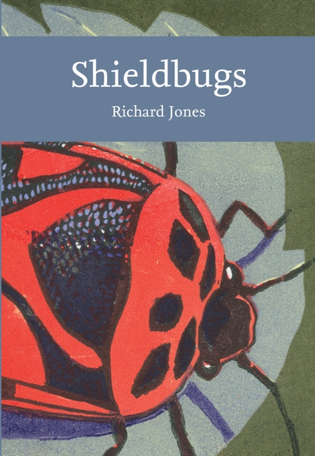 Shieldbugs - Richard Jones