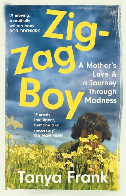 Zig-Zag Boy - Tanya Frank