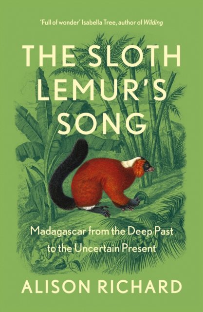 Sloth Lemur’s Song - Alison Richard