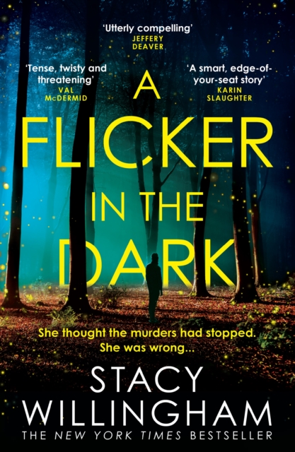 Flicker in the Dark - Stacy Willingham