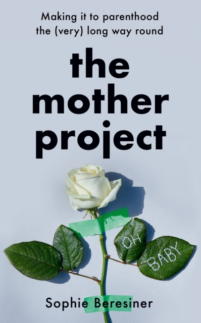Mother Project - Sophie Beresiner