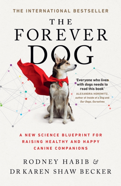 Forever Dog - Rodney|shaw Becker Habib