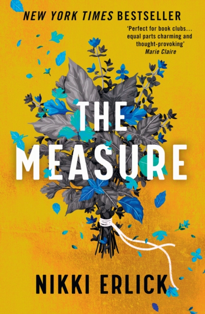 Measure - Nikki Erlick