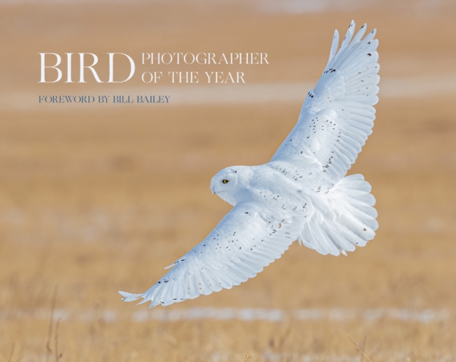 Bird Photographer of the Year - 