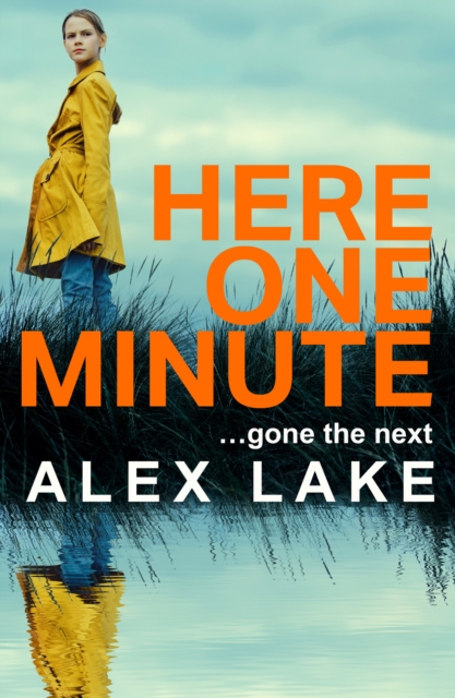 Here One Minute - Alex Lake