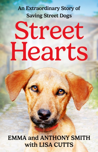 Street Hearts - Emma|smith Smith