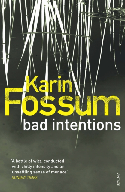 Bad Intentions - Karin Fossum