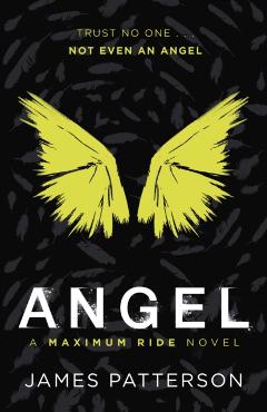 Coperta cărții 'Angel: A Maximum Ride Novel - James Patterson'