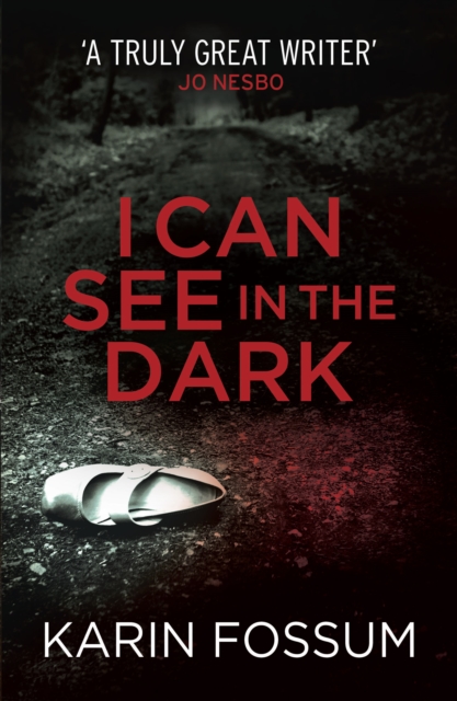 I Can See in the Dark - Karin Fossum