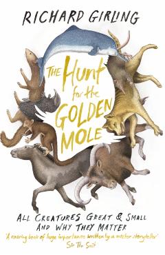 Coperta cărții 'Hunt for the Golden Mole - Richard Girling'