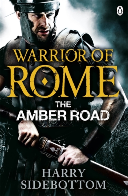 Warrior of Rome VI: The Amber Road - Harry Sidebottom