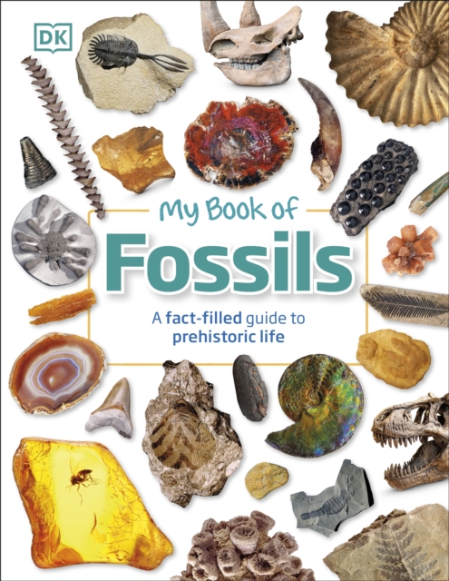 My Book of Fossils - Dean R. Dk|lomax