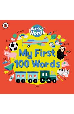 Coperta cărții 'My First 100 Words -'