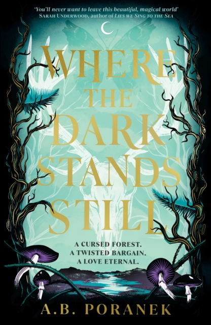 Where the Dark Stands Still - A.b. Poranek