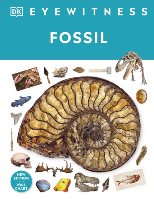 Fossil - Dr Paul David Taylor