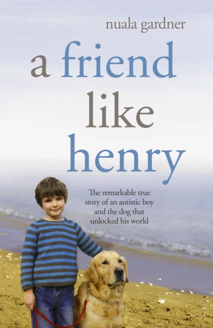 Friend Like Henry - Nuala Gardner