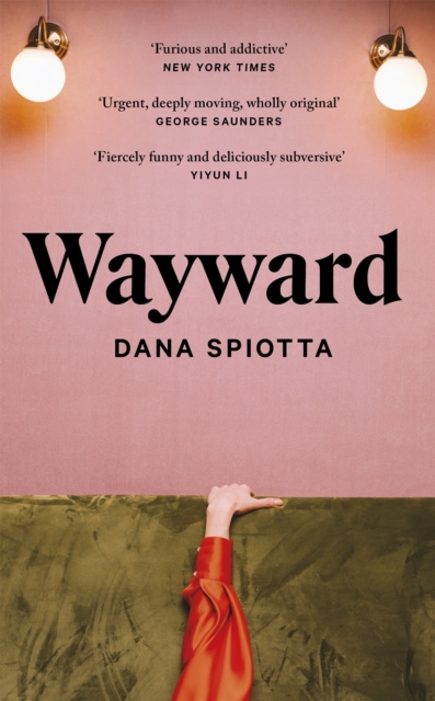 Wayward - Dana Spiotta