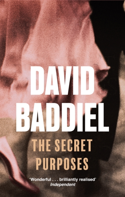 Secret Purposes - David Baddiel