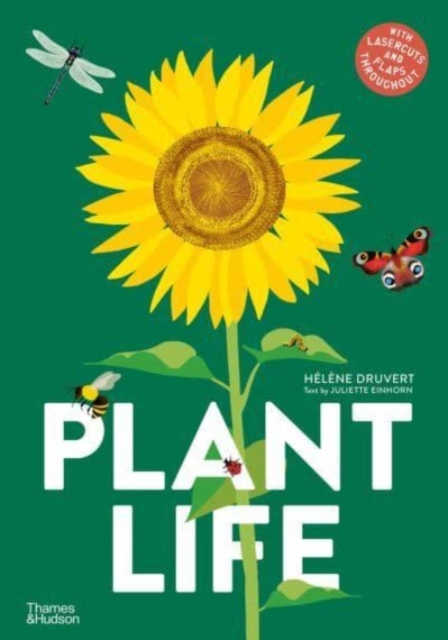 Plant Life - Helene Druvert