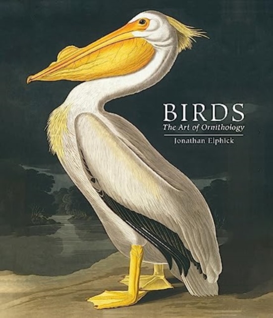 Birds - Jonathan Elphick