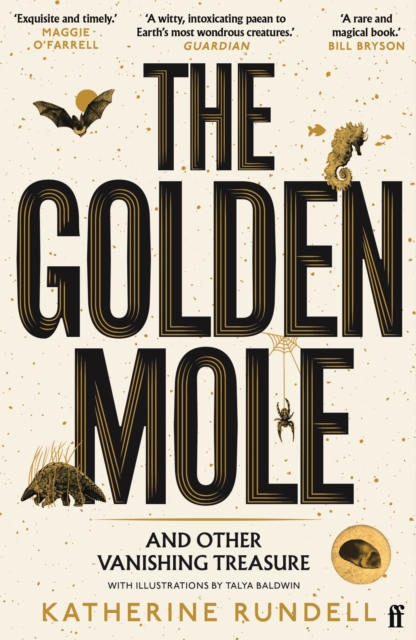 Golden Mole - Katherine Rundell