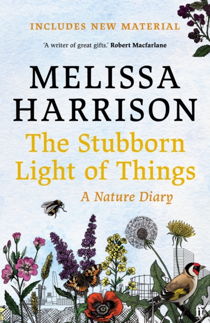 Stubborn Light of Things - Melissa Harrison