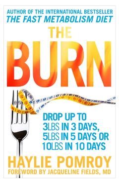 Coperta cărții 'Burn - Haylie Pomroy'