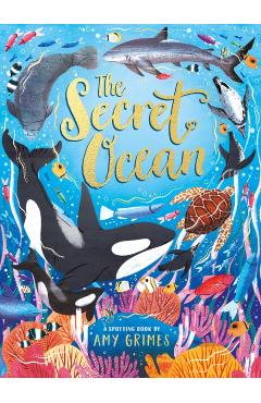 Coperta cărții 'Secret Ocean - Amy Grimes'