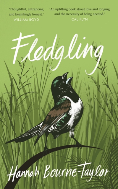 Fledgling - Hannah Bourne-taylor