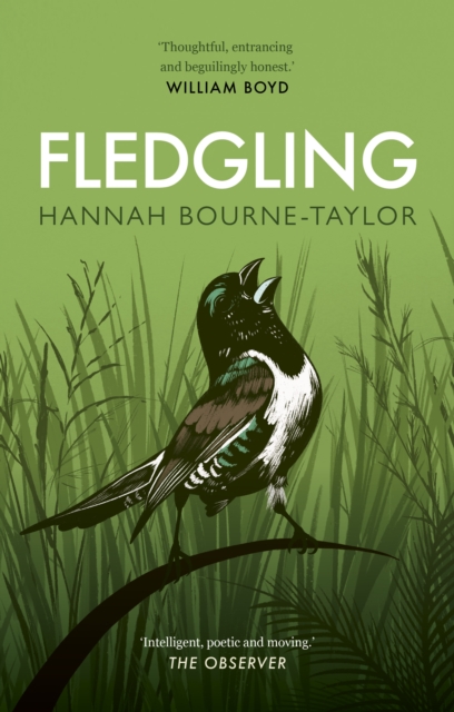 Fledgling - Hannah Bourne-taylor