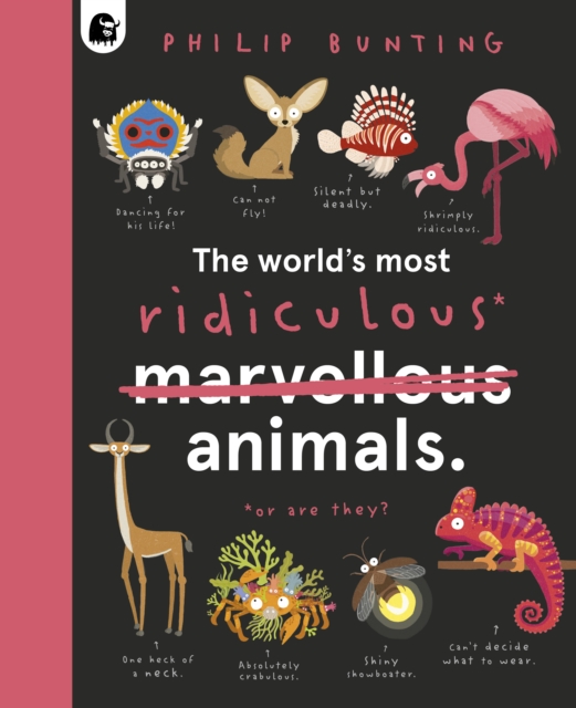 World's Most Ridiculous Animals - Philip Bunting