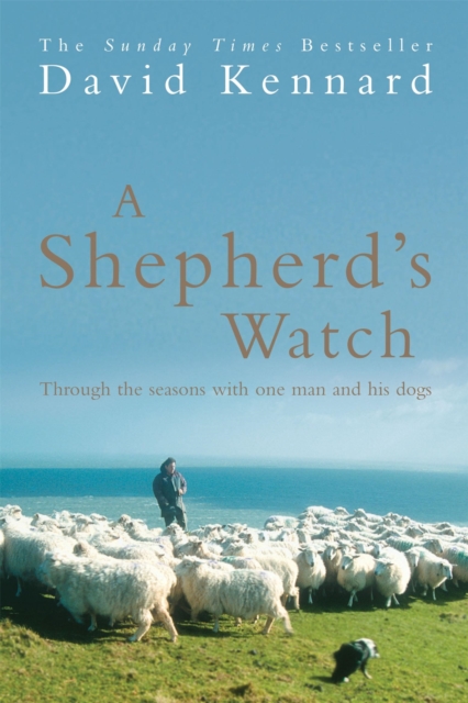 Shepherd's Watch - David Kennard