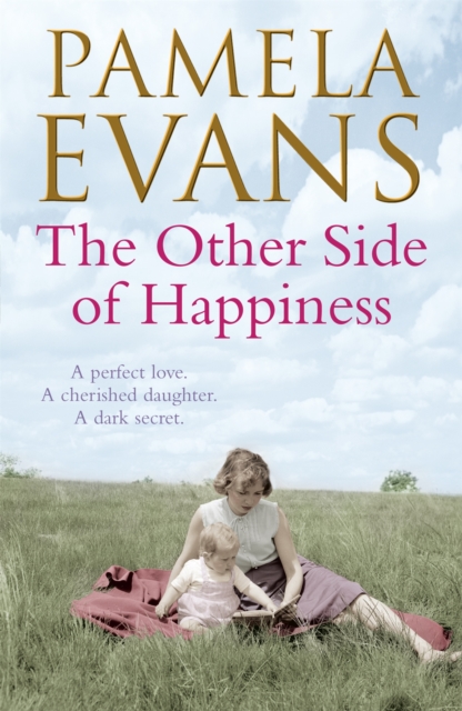 Other Side of Happiness - Pamela Evans