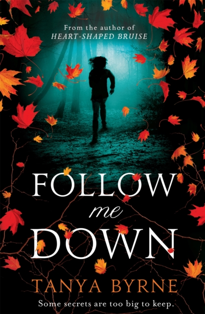 Follow Me Down - Tanya Byrne