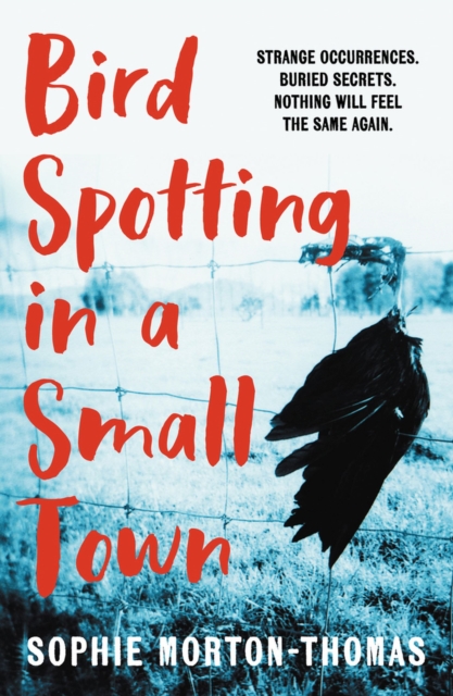 Bird Spotting in a Small Town - Sophie Morton-thomas