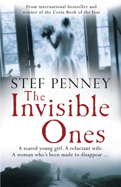 Invisible Ones - Stef Penney