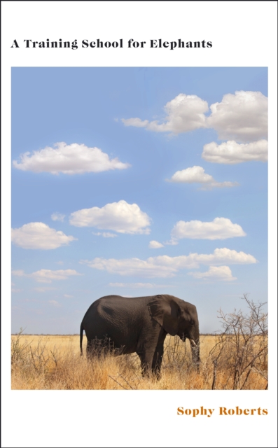 Training School for Elephants - Sophy Roberts