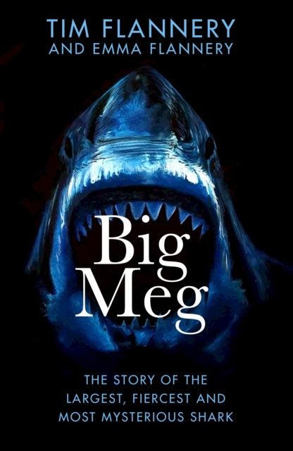 Big Meg - Tim|flannery Flannery