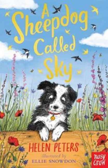 Sheepdog Called Sky - Helen Peters