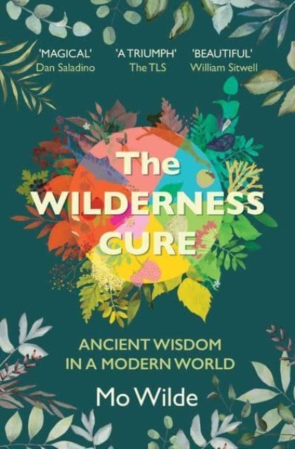Wilderness Cure - Mo Wilde